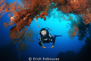 My wife and the corals around the Liberty wreck by Erich Reboucas 